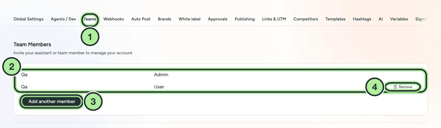 Settings, Teams tab listing two members with their roles, a Remove button and Add another member.